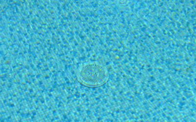 Filtri per piscine: tutte le tipologie